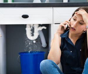 About Septic Pumping Service Ingalls, MI